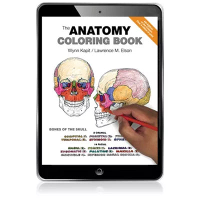Anatomy Coloring Book, The