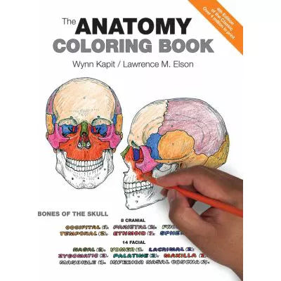Anatomy Coloring Book