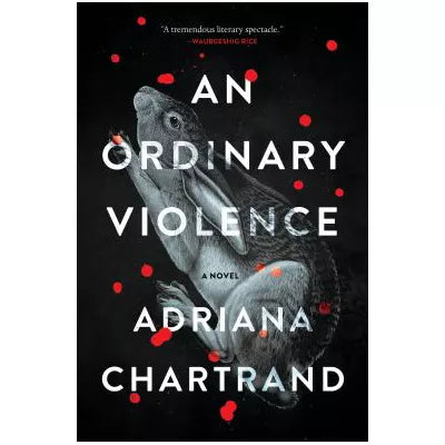 Ordinary Violence
