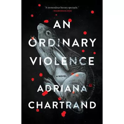An Ordinary Violence